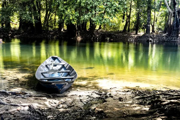 Uma canoa metálica na margem rasa de águas verdes cercadas de mata.