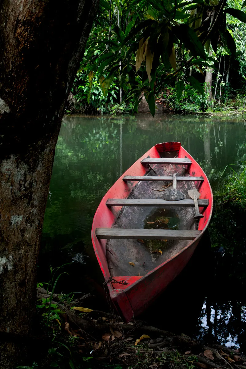 Uma canoa vermelha atracada à margem escura de um igarapé verde.