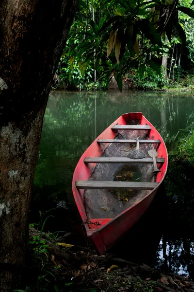 Uma canoa vermelha atracada à margem escura de um igarapé verde.