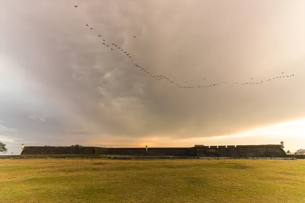 Um bando de pássaros cruza o céu nublado sobre o gramado e a linha baixa da Fortaleza.