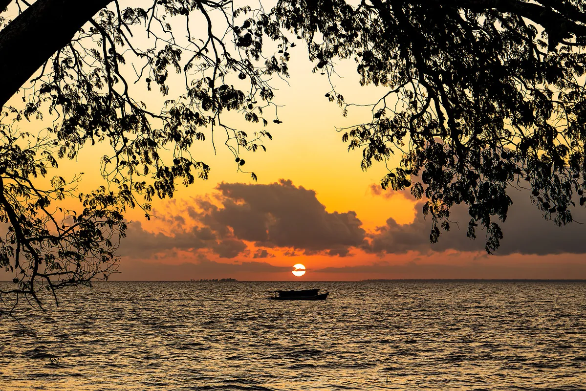 Galhos em silhueta emolduram o pôr do sol e um barco sobre o Amazonas.