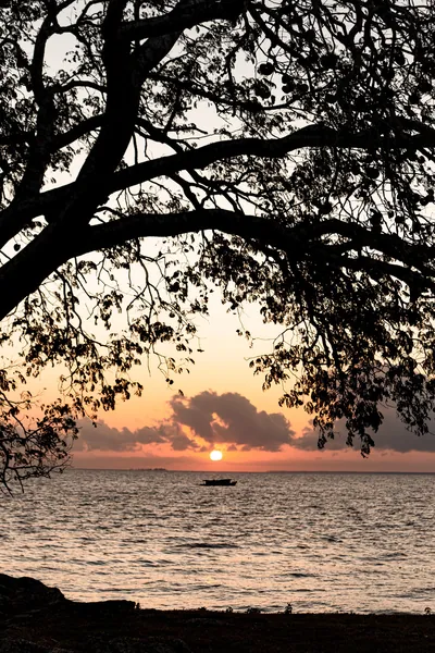 O entardecer sobre o rio em versão vertical, emoldurado por galhos escuros.